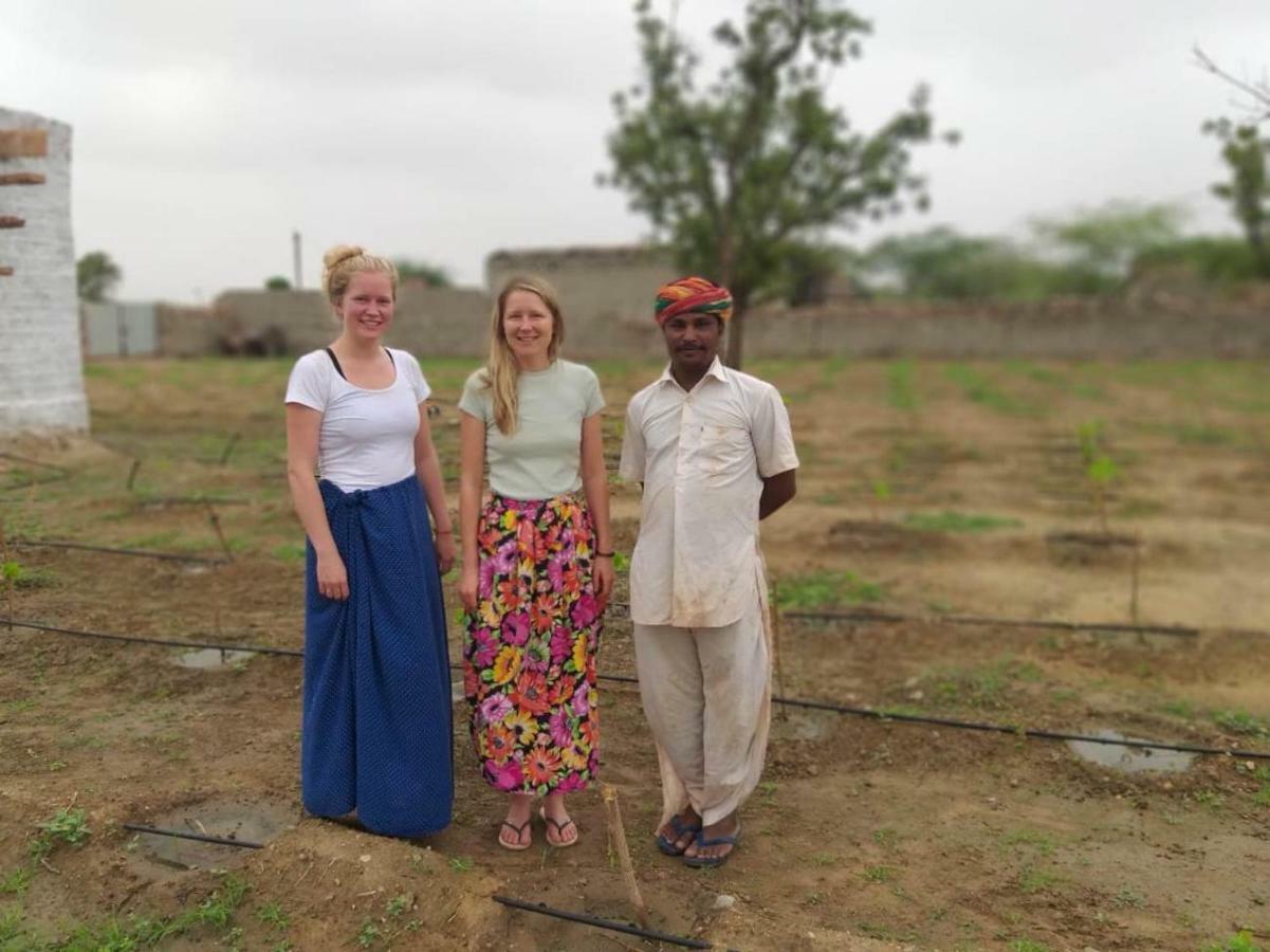 Bishnoi Village Home Stay Jodhpur  Bagian luar foto